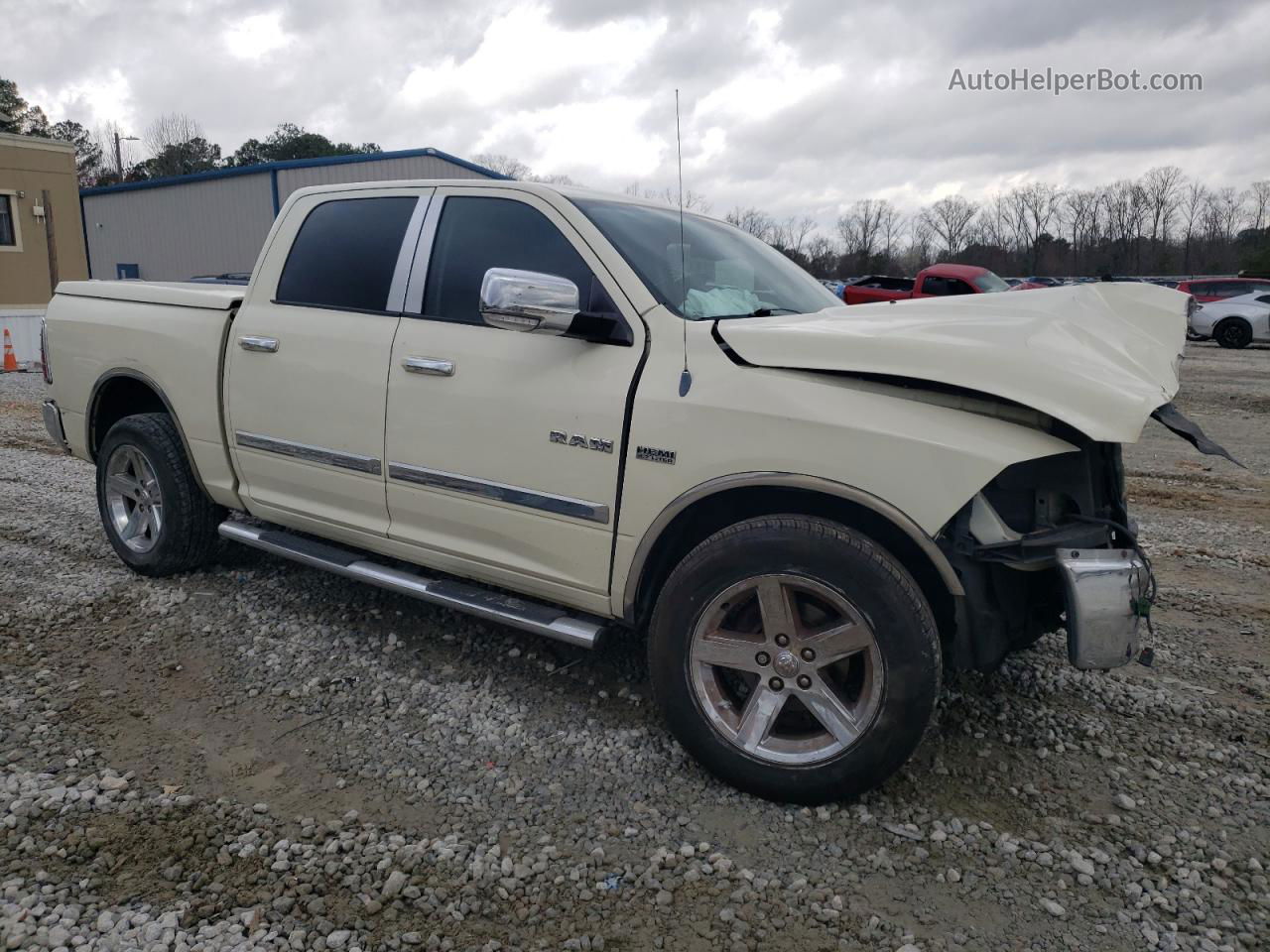 2010 Dodge Ram 1500  Cream vin: 1D7RB1CT9AS226546