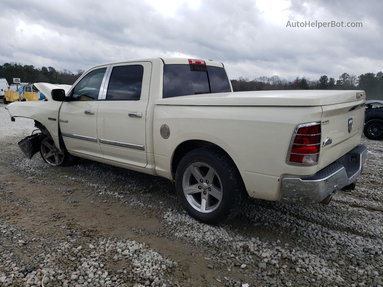 2010 Dodge Ram 1500  Cream vin: 1D7RB1CT9AS226546