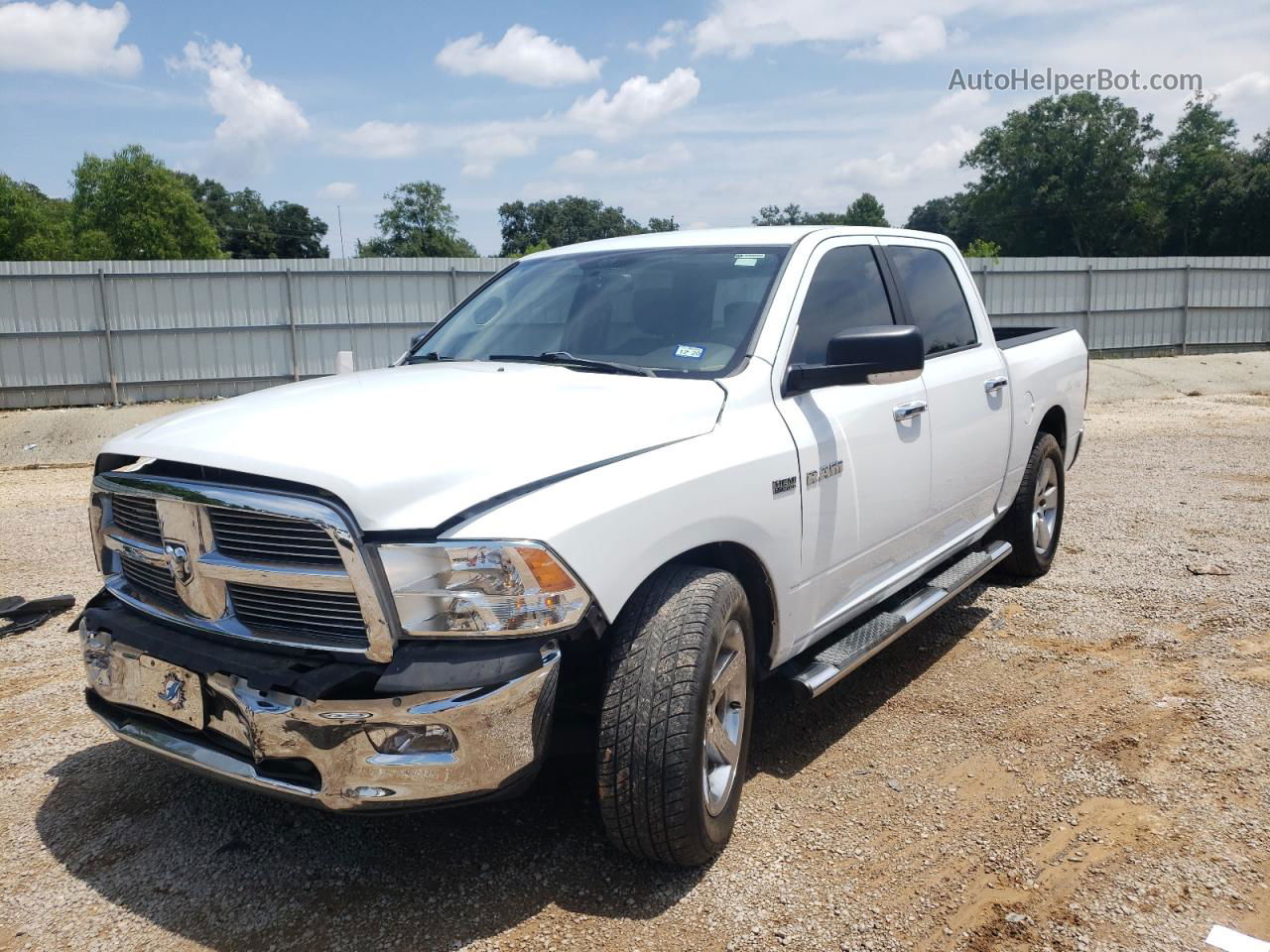 2010 Dodge Ram 1500  Белый vin: 1D7RB1CTXAS248247