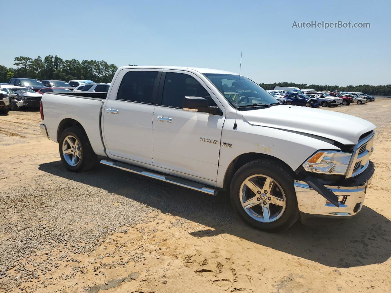 2010 Dodge Ram 1500  Белый vin: 1D7RB1CTXAS248247