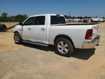 2010 Dodge Ram 1500  Белый vin: 1D7RB1CTXAS248247