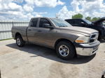 2010 Dodge Ram 1500  Brown vin: 1D7RB1GK8AS196036