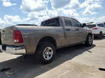 2010 Dodge Ram 1500  Brown vin: 1D7RB1GK8AS196036