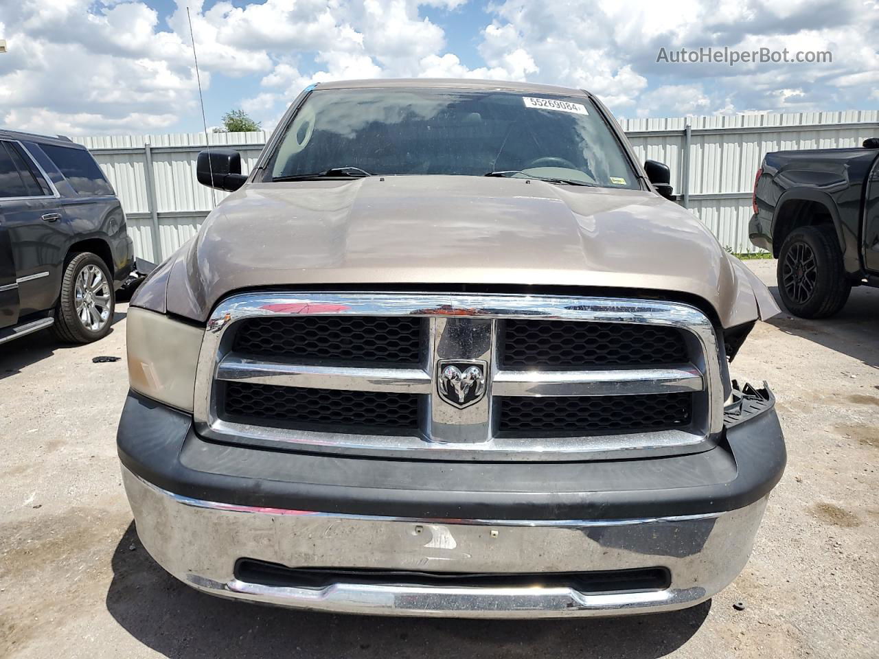 2010 Dodge Ram 1500  Brown vin: 1D7RB1GK8AS196036