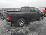 2010 Dodge Ram 1500  Brown vin: 1D7RB1GP0AS237917