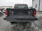 2010 Dodge Ram 1500  Brown vin: 1D7RB1GP0AS237917