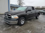 2010 Dodge Ram 1500  Brown vin: 1D7RB1GP0AS237917