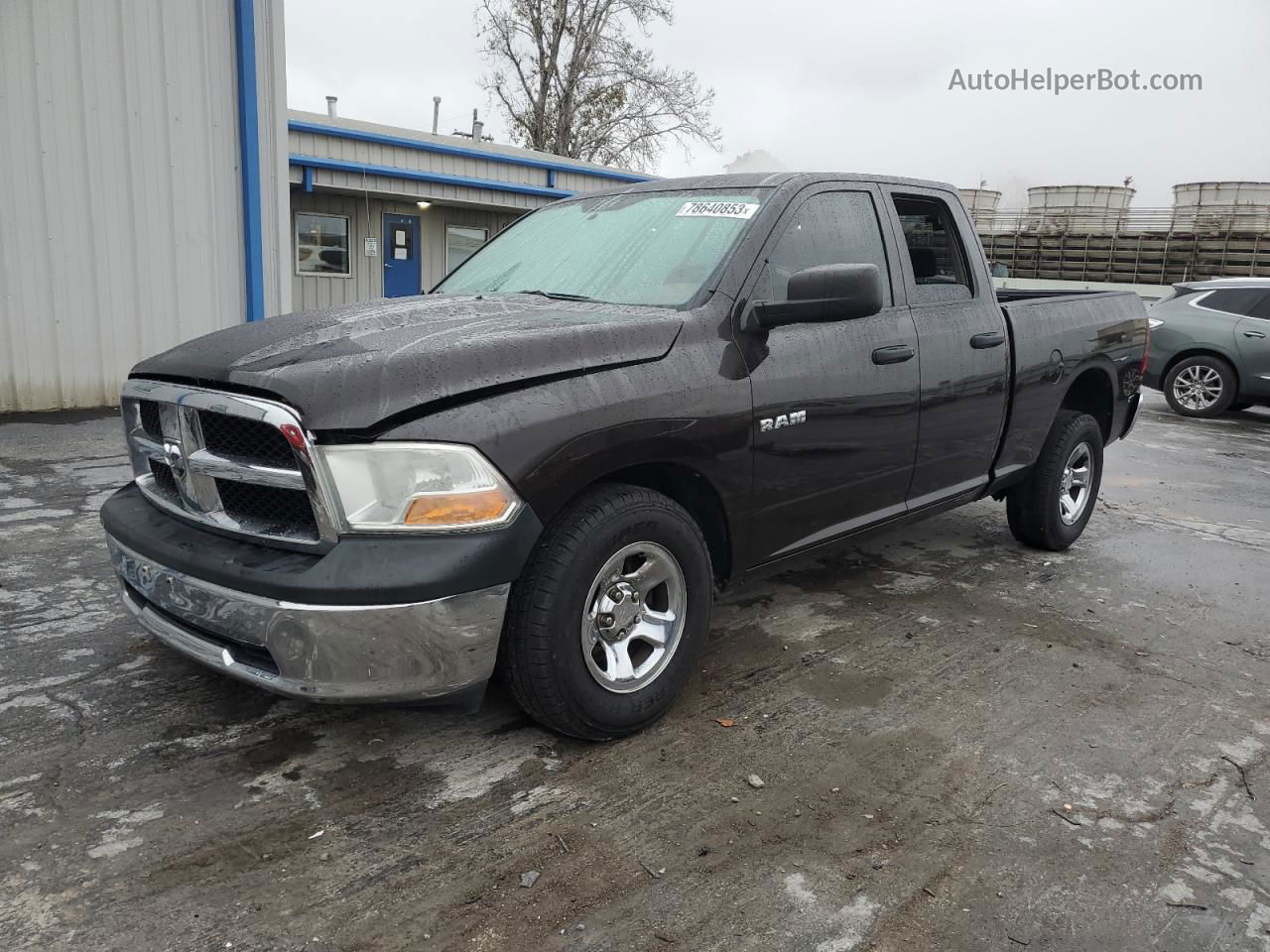 2010 Dodge Ram 1500  Brown vin: 1D7RB1GP0AS237917