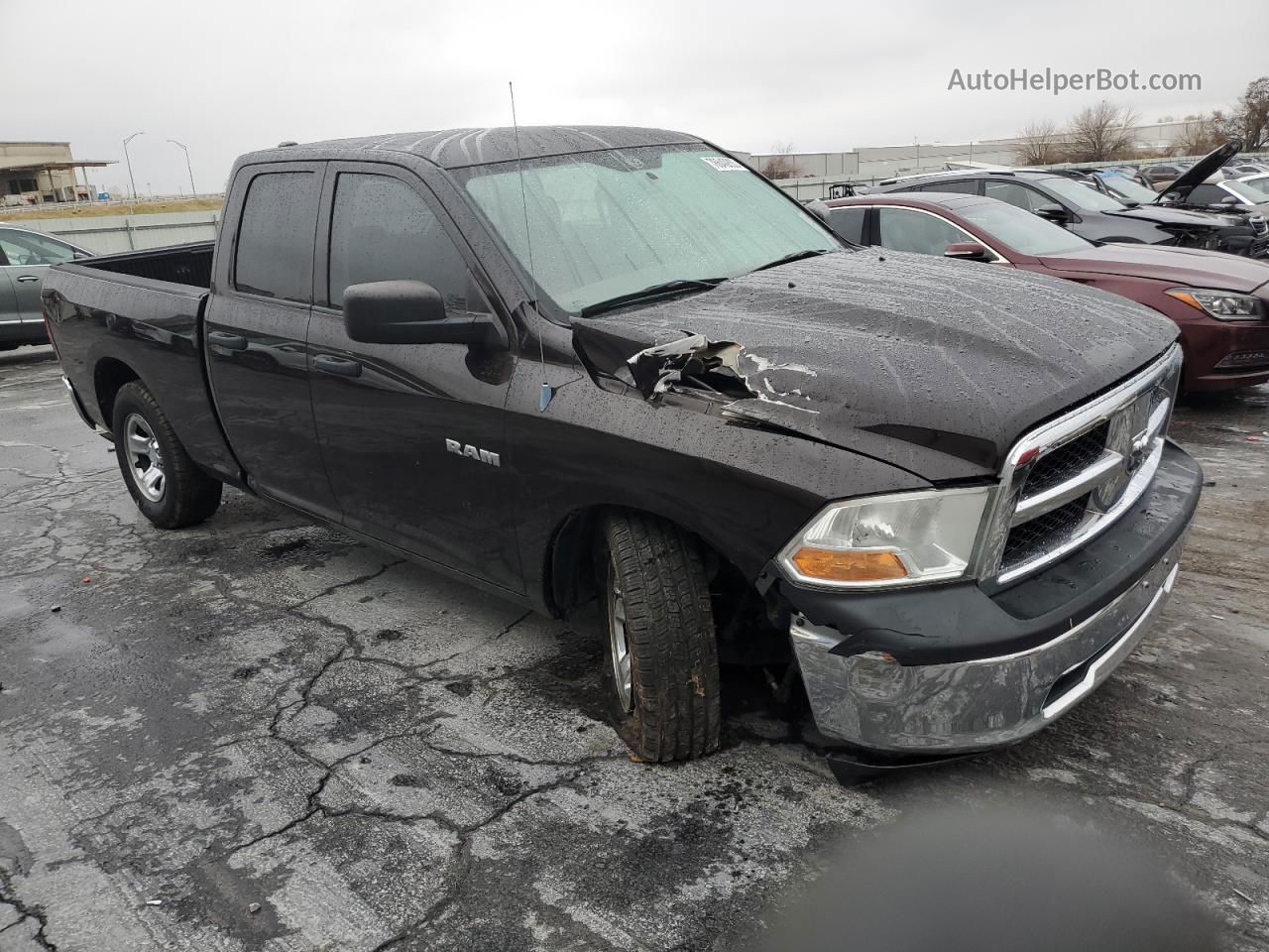 2010 Dodge Ram 1500  Brown vin: 1D7RB1GP0AS237917