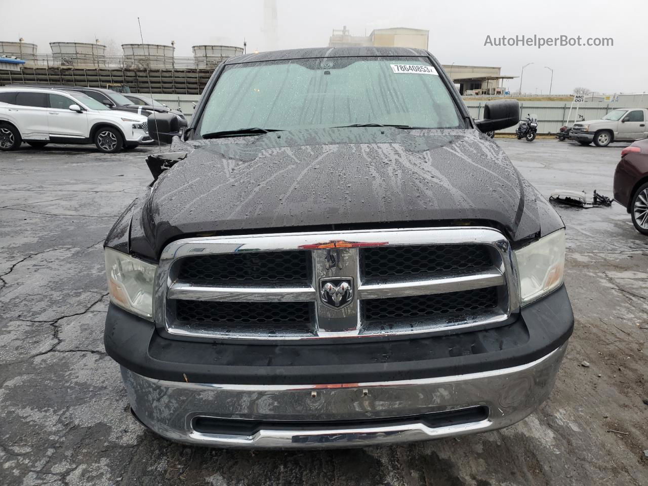 2010 Dodge Ram 1500  Brown vin: 1D7RB1GP0AS237917