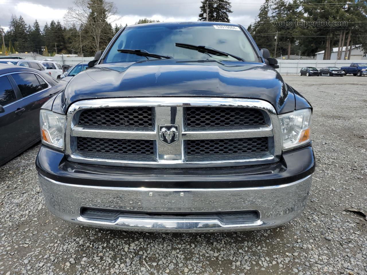 2010 Dodge Ram 1500  Черный vin: 1D7RB1GP4AS111270