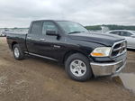 2010 Dodge Ram 1500  Black vin: 1D7RB1GP4AS170951