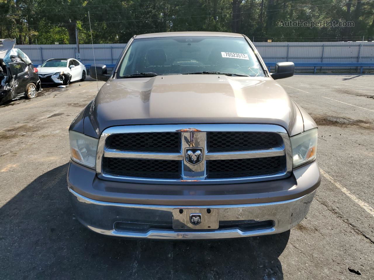 2010 Dodge Ram 1500  Brown vin: 1D7RB1GP5AS159229