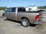 2010 Dodge Ram 1500  Brown vin: 1D7RB1GP5AS159229