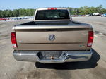 2010 Dodge Ram 1500  Brown vin: 1D7RB1GP5AS159229