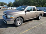 2010 Dodge Ram 1500  Brown vin: 1D7RB1GP5AS159229