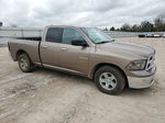 2010 Dodge Ram 1500  Желто-коричневый vin: 1D7RB1GP6AS110895