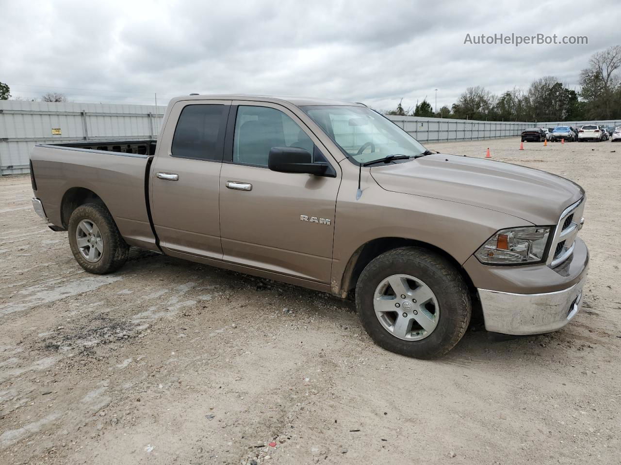 2010 Dodge Ram 1500  Tan vin: 1D7RB1GP6AS110895