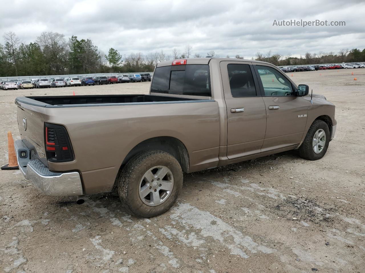 2010 Dodge Ram 1500  Tan vin: 1D7RB1GP6AS110895