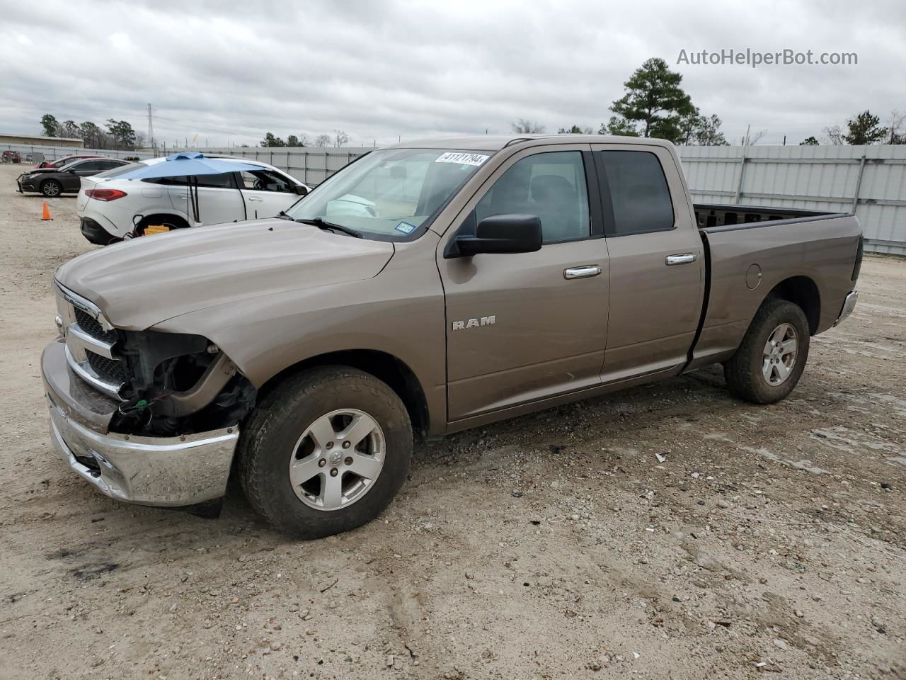 2010 Dodge Ram 1500  Желто-коричневый vin: 1D7RB1GP6AS110895