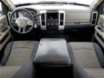 2010 Dodge Ram 1500  Желто-коричневый vin: 1D7RB1GP6AS110895