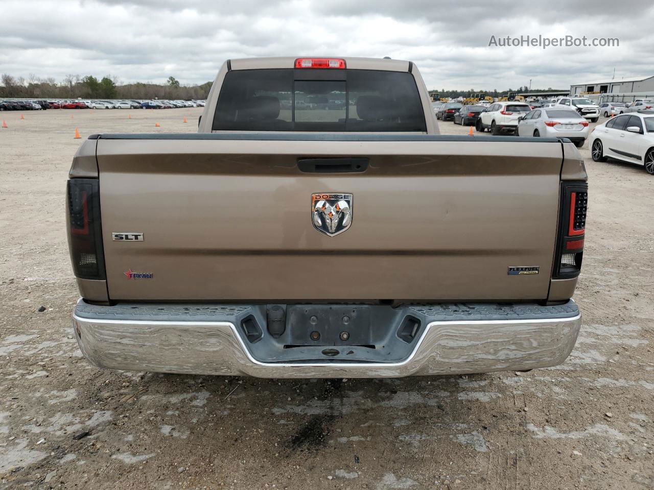 2010 Dodge Ram 1500  Желто-коричневый vin: 1D7RB1GP6AS110895