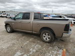 2010 Dodge Ram 1500  Tan vin: 1D7RB1GP6AS110895