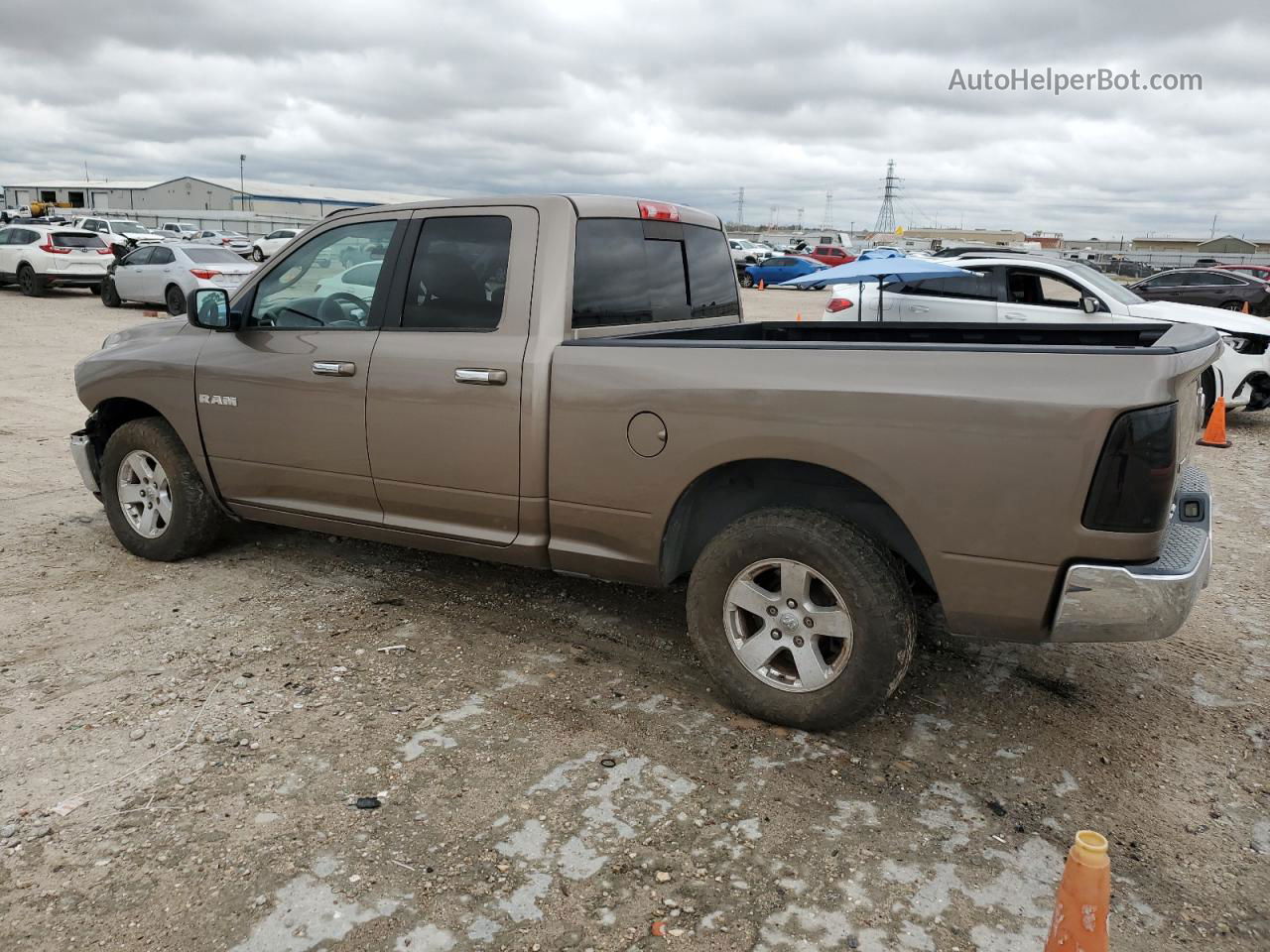 2010 Dodge Ram 1500  Желто-коричневый vin: 1D7RB1GP6AS110895