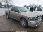 2010 Dodge Ram 1500 Slt/sport/trx Gold vin: 1D7RB1GP6AS155240