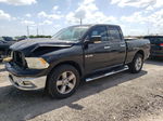 2010 Dodge Ram 1500  Black vin: 1D7RB1GP7AS193401