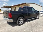 2010 Dodge Ram 1500  Black vin: 1D7RB1GP7AS193401