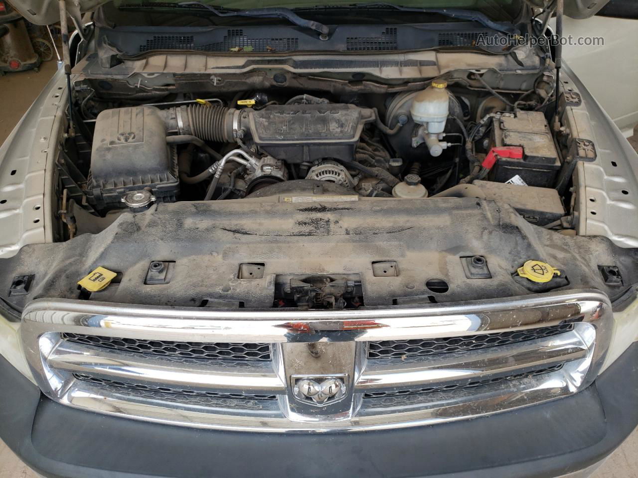 2010 Dodge Ram 1500  Gray vin: 1D7RB1GP7AS195536