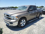 2010 Dodge Ram 1500  Tan vin: 1D7RB1GP8AS228544