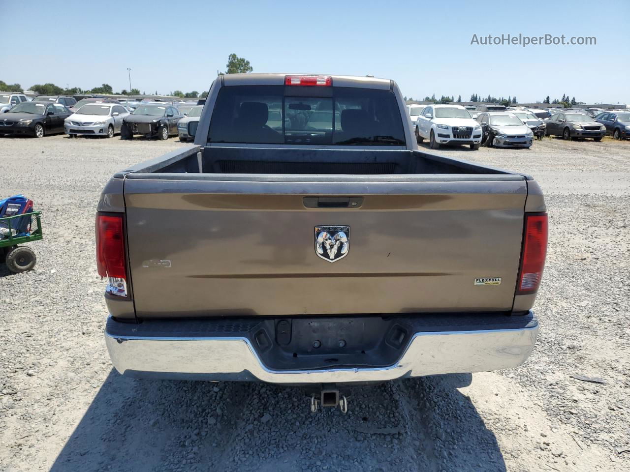 2010 Dodge Ram 1500  Tan vin: 1D7RB1GP8AS228544