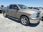 2010 Dodge Ram 1500  Желто-коричневый vin: 1D7RB1GP8AS228544