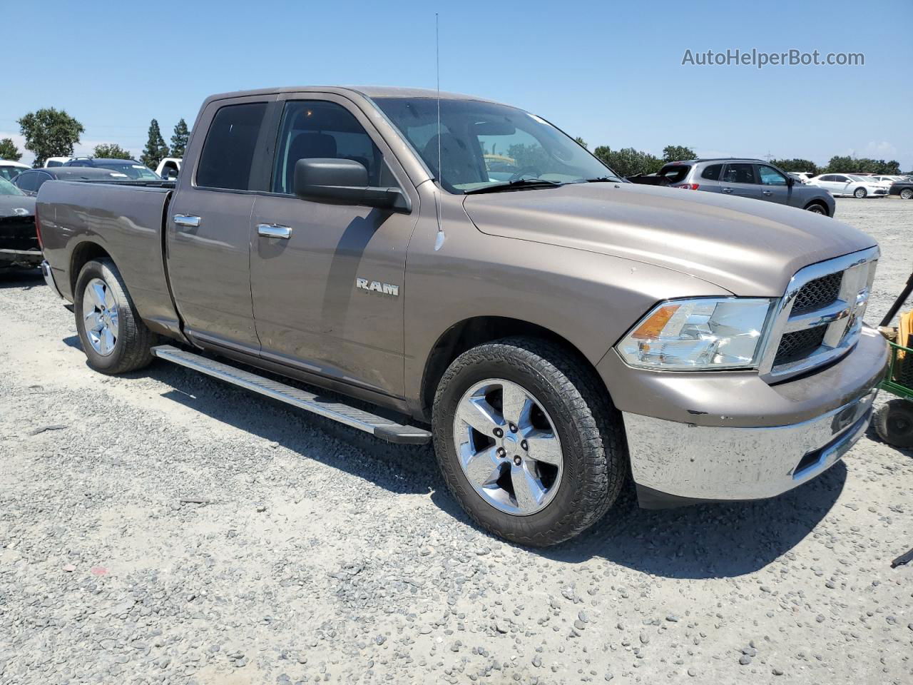 2010 Dodge Ram 1500  Желто-коричневый vin: 1D7RB1GP8AS228544