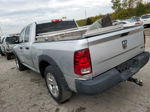 2010 Dodge Ram 1500  Silver vin: 1D7RB1GP9AS193352