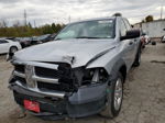 2010 Dodge Ram 1500  Silver vin: 1D7RB1GP9AS193352