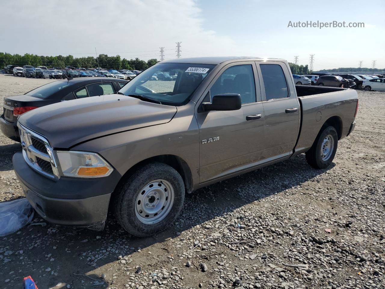 2010 Dodge Ram 1500  Желто-коричневый vin: 1D7RB1GP9AS208903