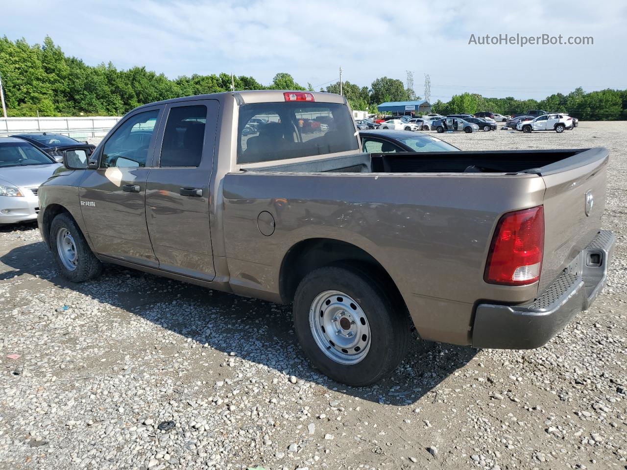 2010 Dodge Ram 1500  Желто-коричневый vin: 1D7RB1GP9AS208903