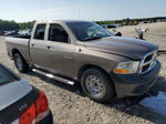 2010 Dodge Ram 1500  Желто-коричневый vin: 1D7RB1GP9AS208903