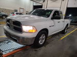 2010 Dodge Ram 1500   vin: 1D7RB1GT0AS250454