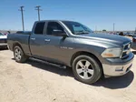 2010 Dodge Ram 1500  Gray vin: 1D7RB1GT3AS106025