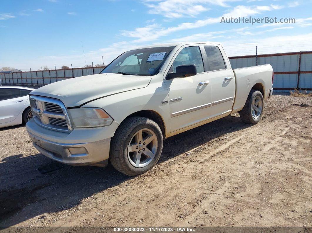 2010 Dodge Ram 1500 Slt/sport/trx Cream vin: 1D7RB1GT8AS225978