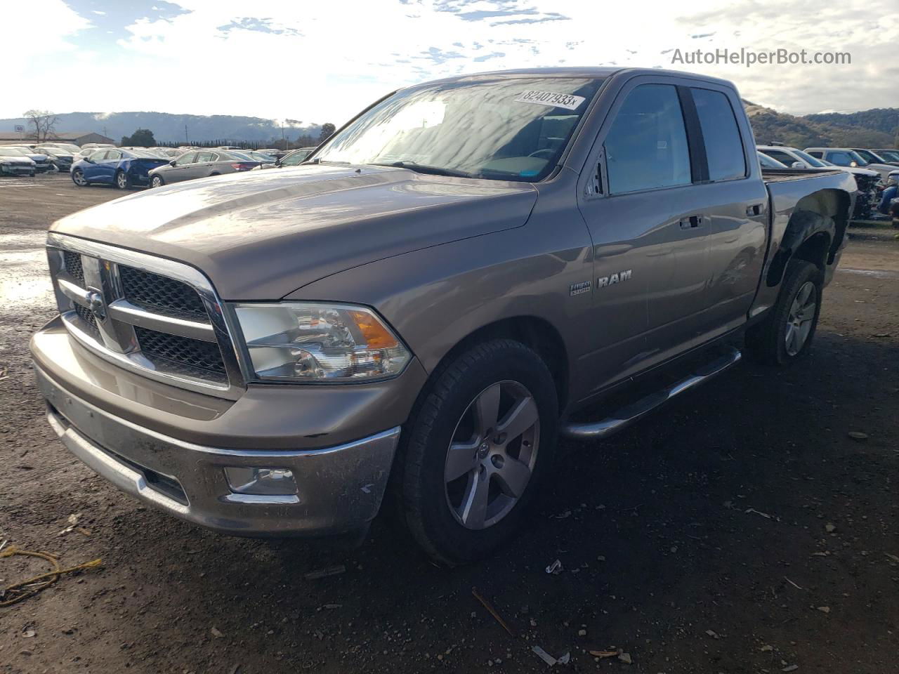 2010 Dodge Ram 1500  Золотой vin: 1D7RB1GT8AS232414