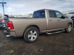 2010 Dodge Ram 1500  Золотой vin: 1D7RB1GT8AS232414