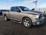 2010 Dodge Ram 1500  Gold vin: 1D7RB1GT8AS232414