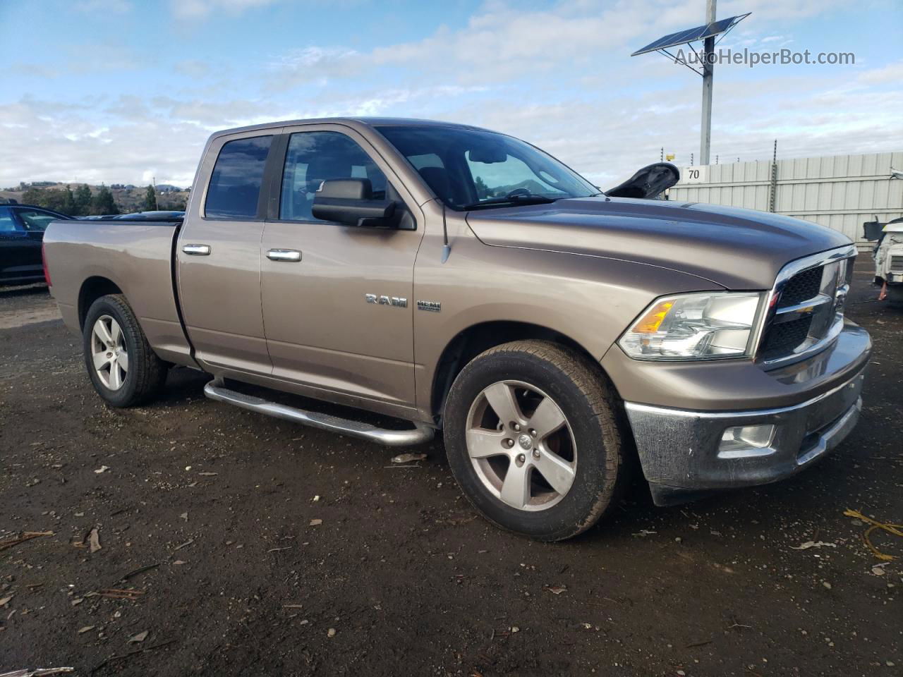 2010 Dodge Ram 1500  Золотой vin: 1D7RB1GT8AS232414