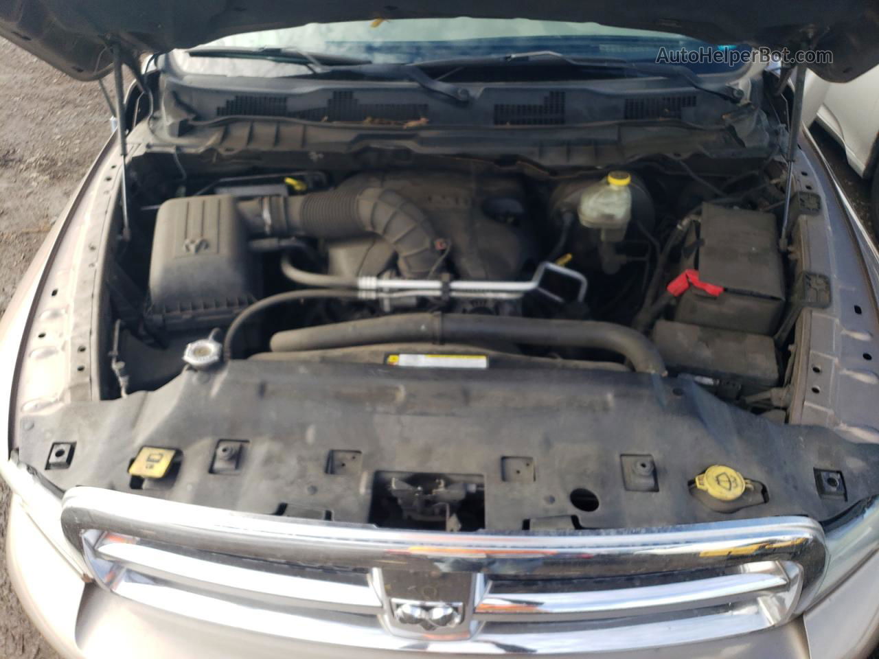 2010 Dodge Ram 1500  Золотой vin: 1D7RB1GT8AS232414