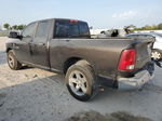 2010 Dodge Ram 1500  Brown vin: 1D7RB1GT8AS249889